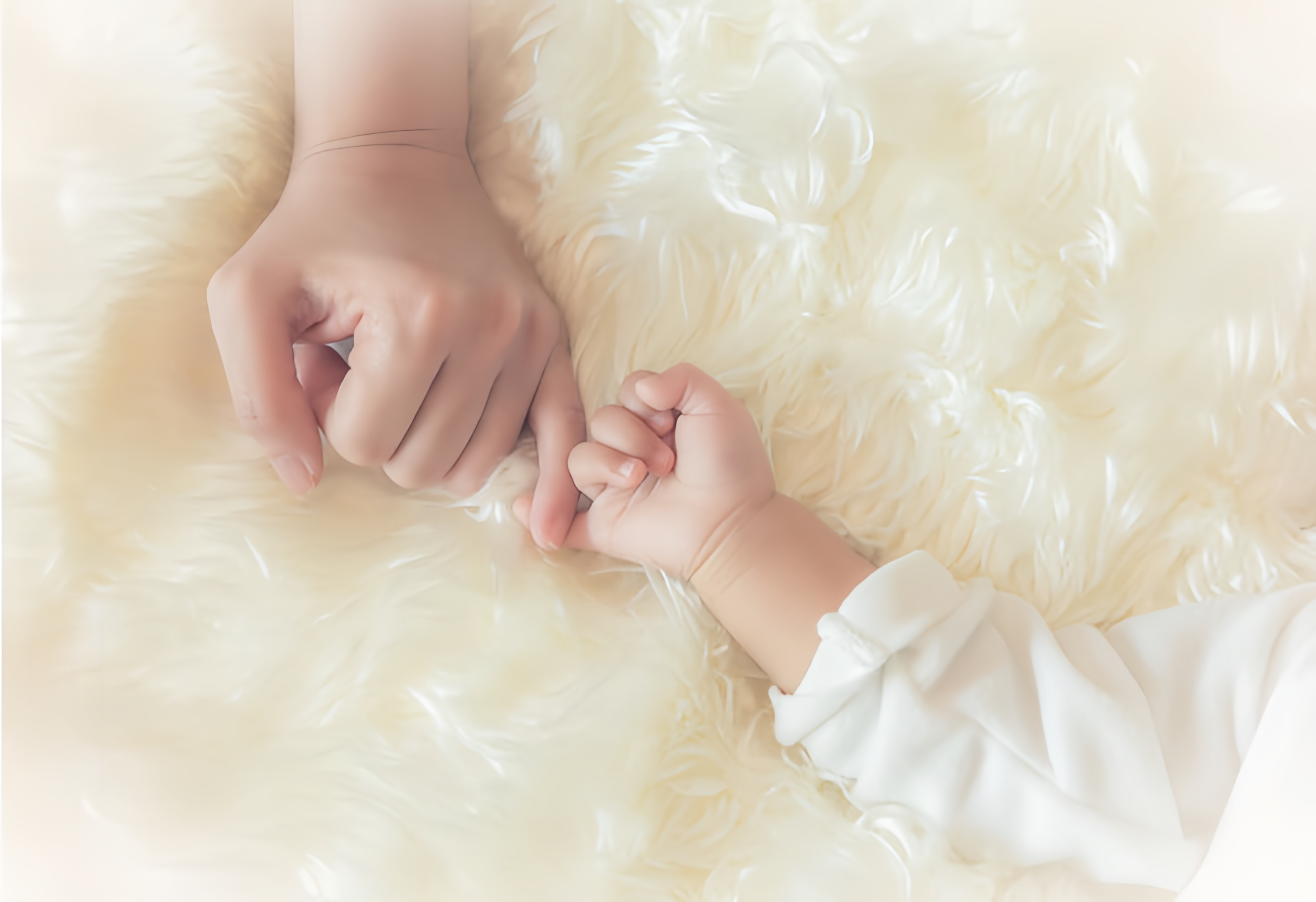 c9520ce7277f1119da1eda165128939a.png 微信圖片_20241104161033.png